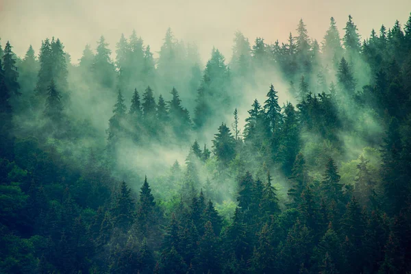 Misty paisaje de montaña —  Fotos de Stock