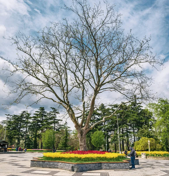 Emirganparken, Istanbul — Stockfoto