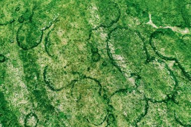 Yukarıdan yeşil alanlar