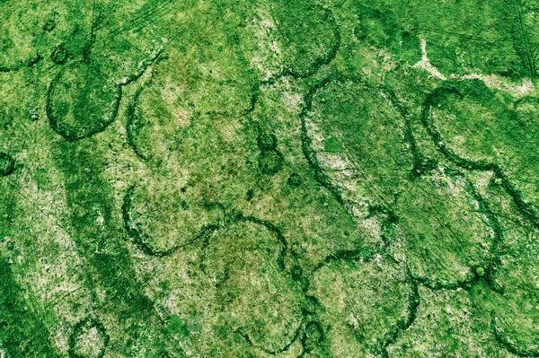 上からの緑のフィールド — ストック写真
