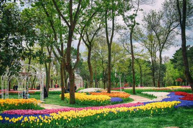 Emirgan Parkı, İstanbul