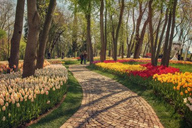 Emirgan Parkı, İstanbul