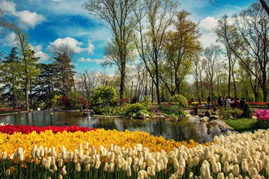 Emirgan Parkı, İstanbul