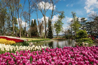 Emirgan Parkı, İstanbul