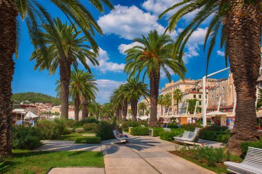 Split 'teki Palm alley
