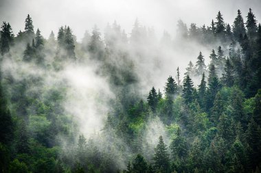 Sisli dağ manzarası