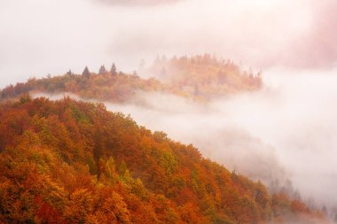 Sisli dağ manzarası