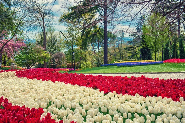 Emirganparken, Istanbul — Stockfoto