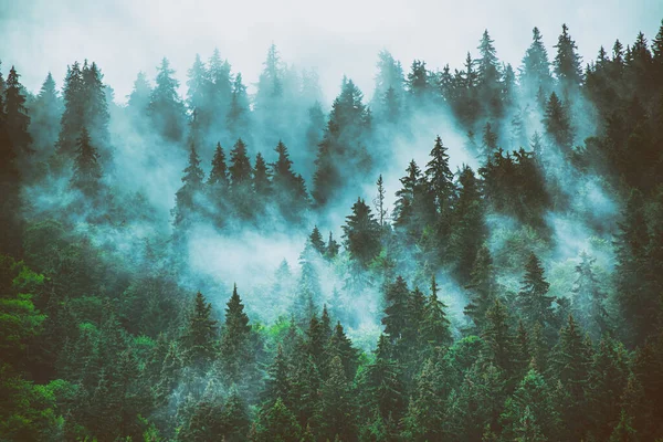 Nebelige Berglandschaft — Stockfoto