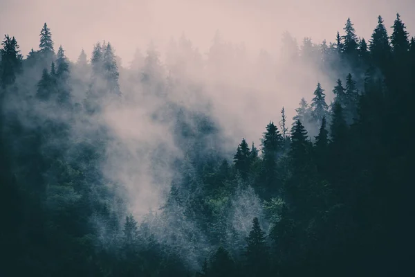 Nebelige Berglandschaft — Stockfoto