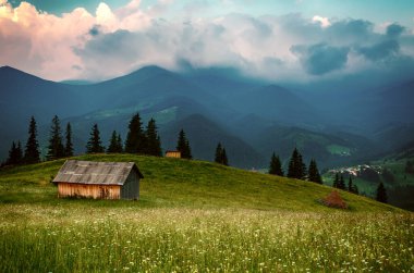 Karpatya dağ manzarası