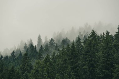 Sisli dağ manzarası