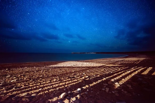 Cipro notte stellata — Foto Stock