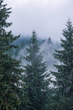 Sisli dağ manzarası
