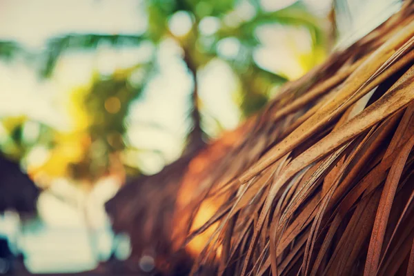 Tropik Karayip Sahili