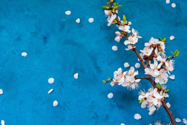 Grunge çiçek arkaplanı