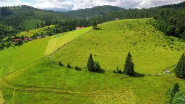 Karpat Dağları yaz manzarası mevsimsel doğal arka plan yeşil tepeler, mavi gökyüzü ve beyaz bulutlar. İHA 'dan 4K video