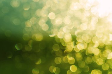 yeşil ve sarı tonlar, yaz Mevsimlik arka plan açık havada doğal bokeh