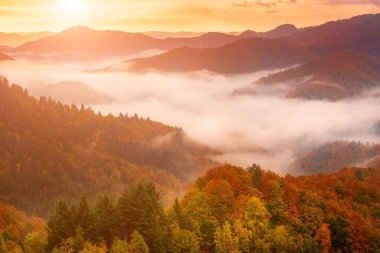 Sisli sonbahar dağ manzarası köknar ormanı ve eski moda hipster tarzında telif uzayı Slovenya 'da sonbahar sezonu.