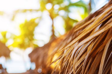 Dominik Cumhuriyeti 'ndeki güzel Karayip plajı. Tropik cennet gibi, palmiye ağaçları ve saman kulübesi olan bir yaz manzarası. Kopyalama uzayı ile seyahat et. Tatil gevşeme kavramı