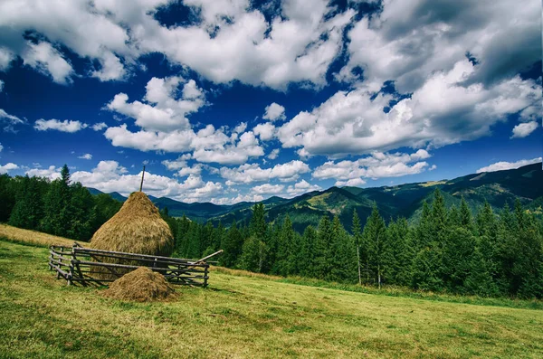 Summer Landscape Mountains Fir Forest Blue Sky White Clouds Haystack — Stock Photo, Image