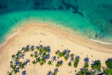 Dominik Cumhuriyeti 'ndeki güzel Karayip plajı. Yeşil palmiye ağaçları, deniz kıyıları ve beyaz kumlu tropikal cennet manzarası.