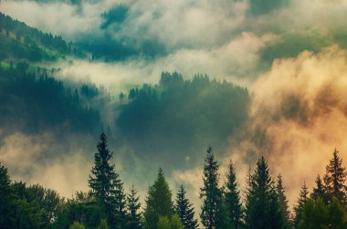 Puslu peyzaj dağlar ve köknar orman hipster vintage retro tarzı ile