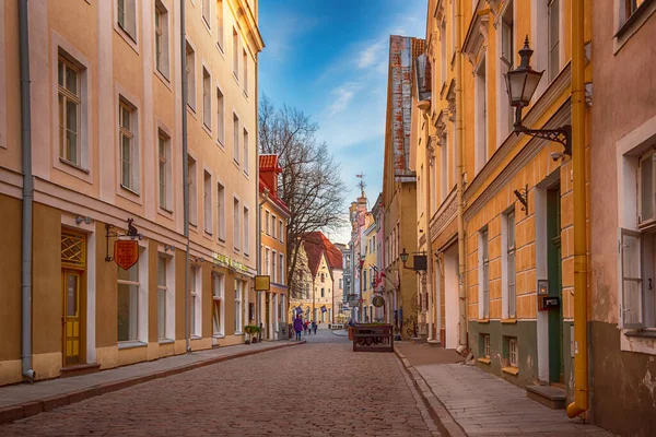 Jalan Kota Tua Tallinn Estonia Perjalanan Konsep Nordik — Stok Foto