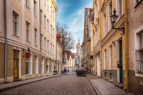 Calle Casco Antiguo Tallin Estonia Viajes Concepto Nórdico — Foto de Stock