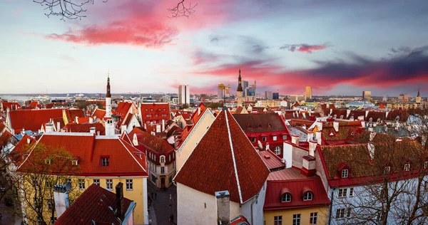 Vista Sulla Città Europea Tallinn Dopo Tramonto Viaggiare Sfondo Esterno — Foto Stock