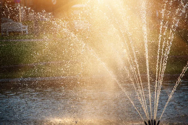Водный Фонтан Весеннем Солнечном Общественном Парке Природный Сезонный Фон — стоковое фото