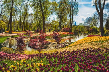 Emirgan Parkı 'nda geleneksel Lale Festivali. İlkbaharda tarihi bir şehir parkı.