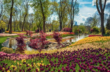 Emirgan Parkı 'nda geleneksel Lale Festivali. İlkbaharda tarihi bir şehir parkı.