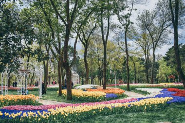Emirgan Parkı 'nda geleneksel Lale Festivali. İlkbaharda tarihi bir şehir parkı.