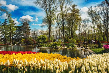 Emirgan Parkı 'nda geleneksel Lale Festivali. İlkbaharda tarihi bir şehir parkı.