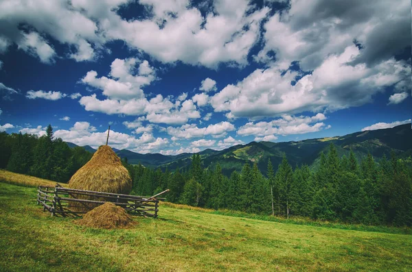 Letní Krajina Horami Jedlovým Lesem Modrou Oblohou Bílými Mraky Kupkou — Stock fotografie