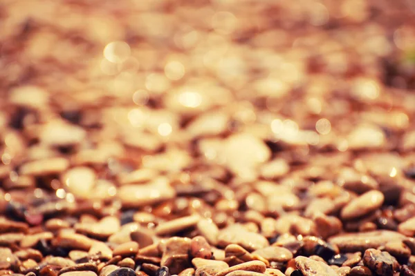 Sea Pebble Colorful Wet Background Sun Rays Copy Space Vintage — Stock Photo, Image