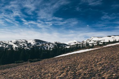 Karlı ve köknar ormanlı bahar dağları manzarası. Retro hipster tarzında doğal seyahat geçmişi.