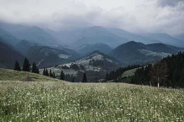 Carpathian Mountains Summer Landscape Vintage Hipster Natural Background — Stock Photo, Image