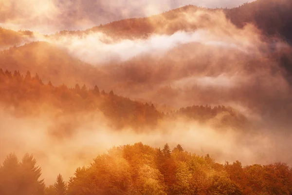 Misty Nevoeiro Outono Paisagem Montanhosa Com Floresta Abeto Copyspace Estilo — Fotografia de Stock