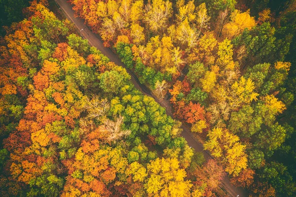 Kleurrijke Herfstbos Vorm Boven Met Een Lege Weg Gevangen Met — Stockfoto