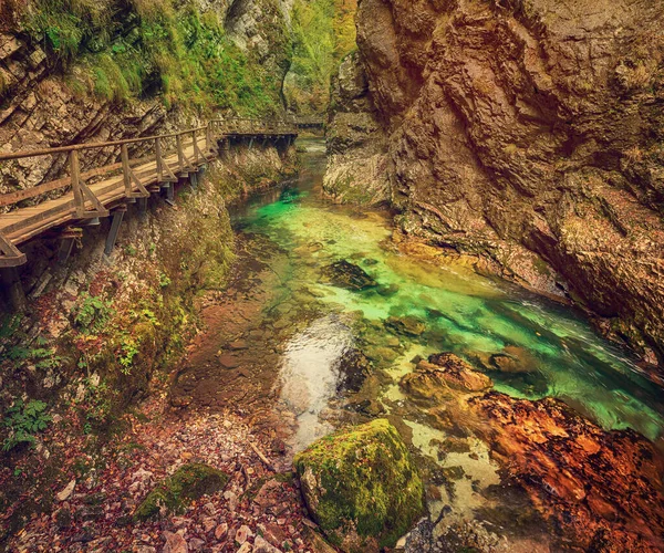 Знаменитое Винтгарское Ущелье Каньон Деревянной Тропой Блед Национальный Парк Трибёв — стоковое фото