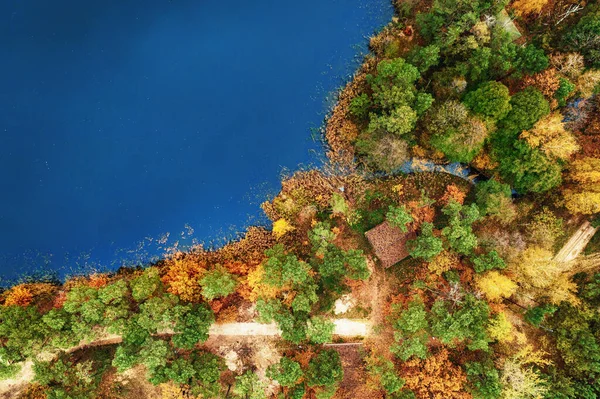 Aerial View River Autumn Trees Seasonal Background — Zdjęcie stockowe