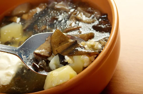 Home made mushroom soup — Stock Image Home made mushroom soup Royalty Free Stock Images