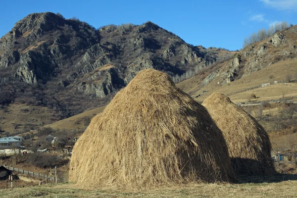 Iki haystacks — Stok fotoğraf