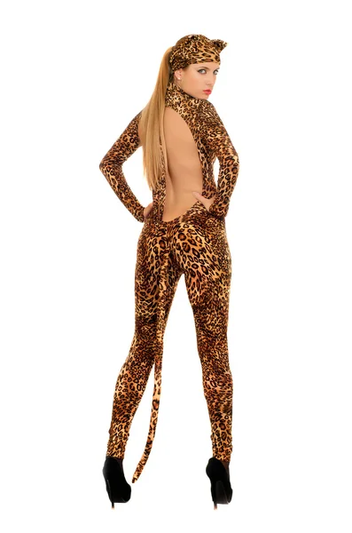 Genç kadın bir leopar gibi giyinmiş — Stok fotoğraf