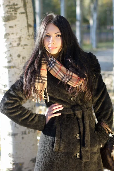 Pretty young brunette in autumn park — Stock Photo, Image