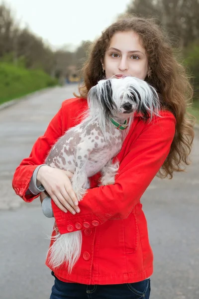 Chica sosteniendo poco perro —  Fotos de Stock