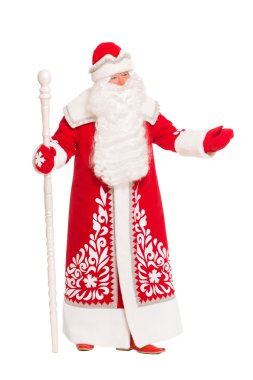 Noel Baba. izole