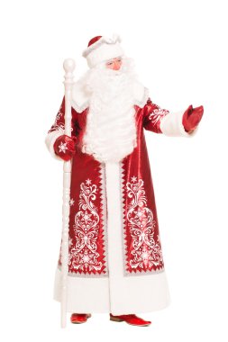 Noel Baba. izole